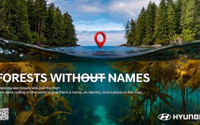 ฮุนไดมอเตอร์เปิดตัวแคมเปญ “Forests Without Names” ตั้งชื่อป่าใต้ทะเลทั่วโลก ดันบทบาทระบบนิเวศทางทะเลรับมือวิกฤตโลกร้อน